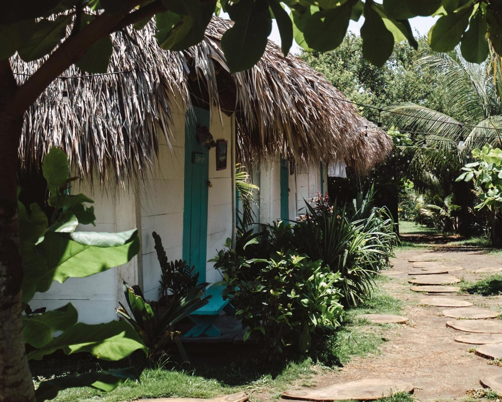 Cocori Lodge Paredon El Paredón Buena Vista Εξωτερικό φωτογραφία