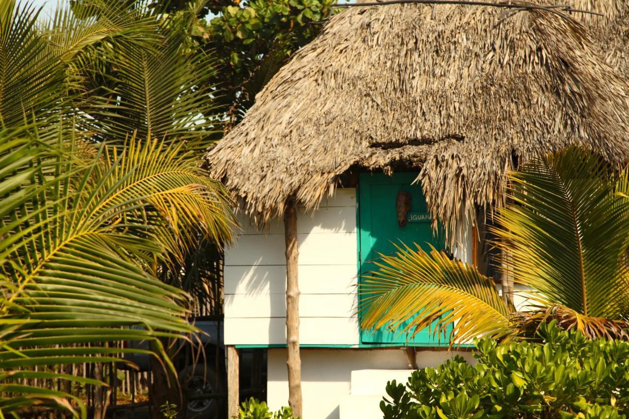 Cocori Lodge Paredon El Paredón Buena Vista Εξωτερικό φωτογραφία