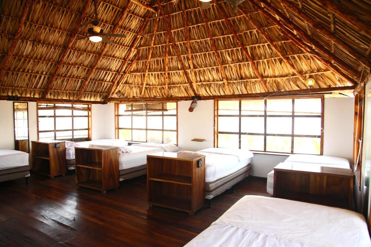 Cocori Lodge Paredon El Paredón Buena Vista Εξωτερικό φωτογραφία